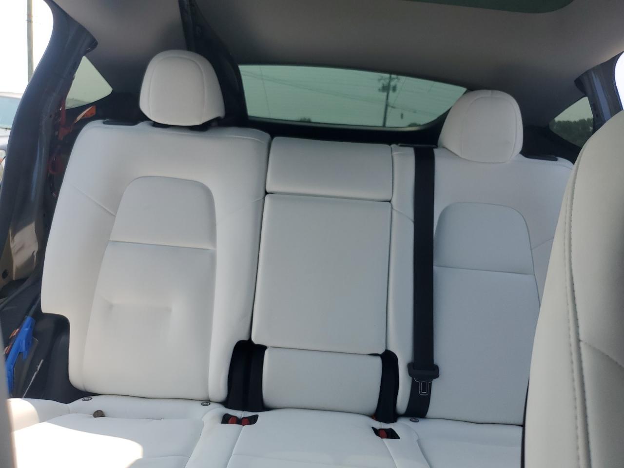 2023 Tesla Model Y VIN: 7SAYGDEE9PA163137 Lot: 71648535