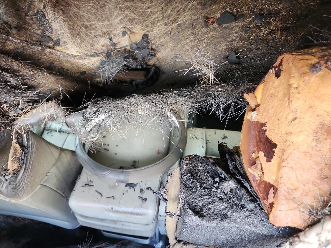 2013 Ford F150 Super Cab VIN: 1FTEX1CM7DKF11334 Lot: 71509055