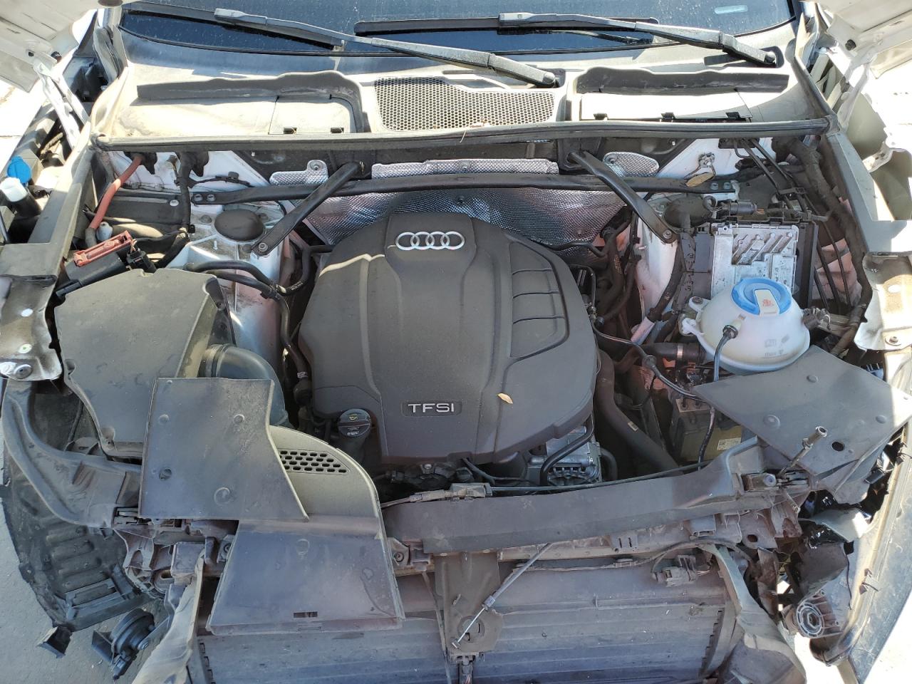 2018 Audi Q5 Premium Plus VIN: WA1BNAFY3J2010504 Lot: 81335935