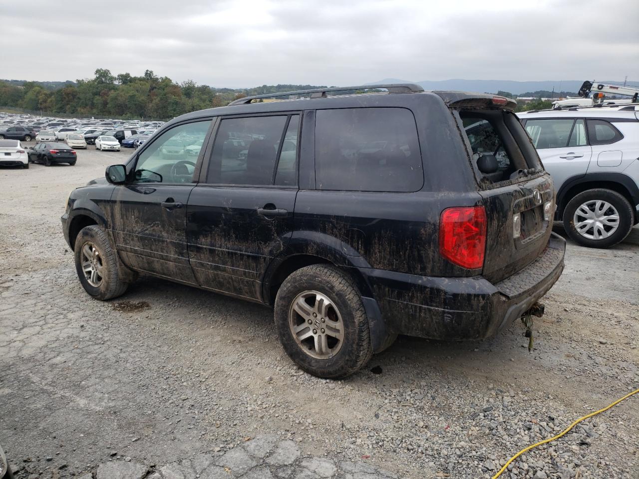 2004 Honda Pilot Exl VIN: 2HKYF18694H541072 Lot: 81525325