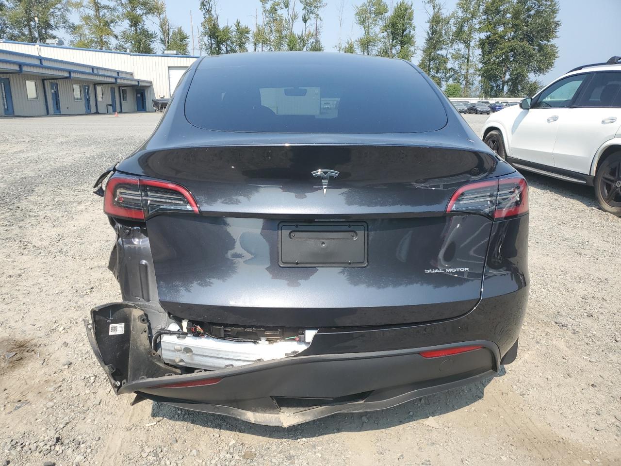 2024 Tesla Model Y VIN: 7SAYGAEE4RF119311 Lot: 71264025