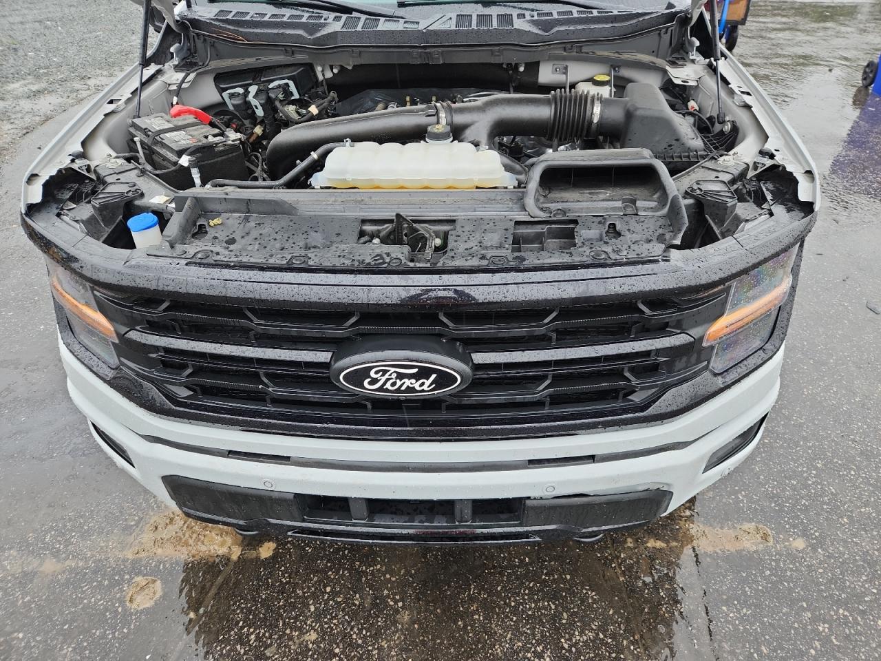 2024 Ford F150 Xlt VIN: 1FTFW3L82RKF28099 Lot: 81852165