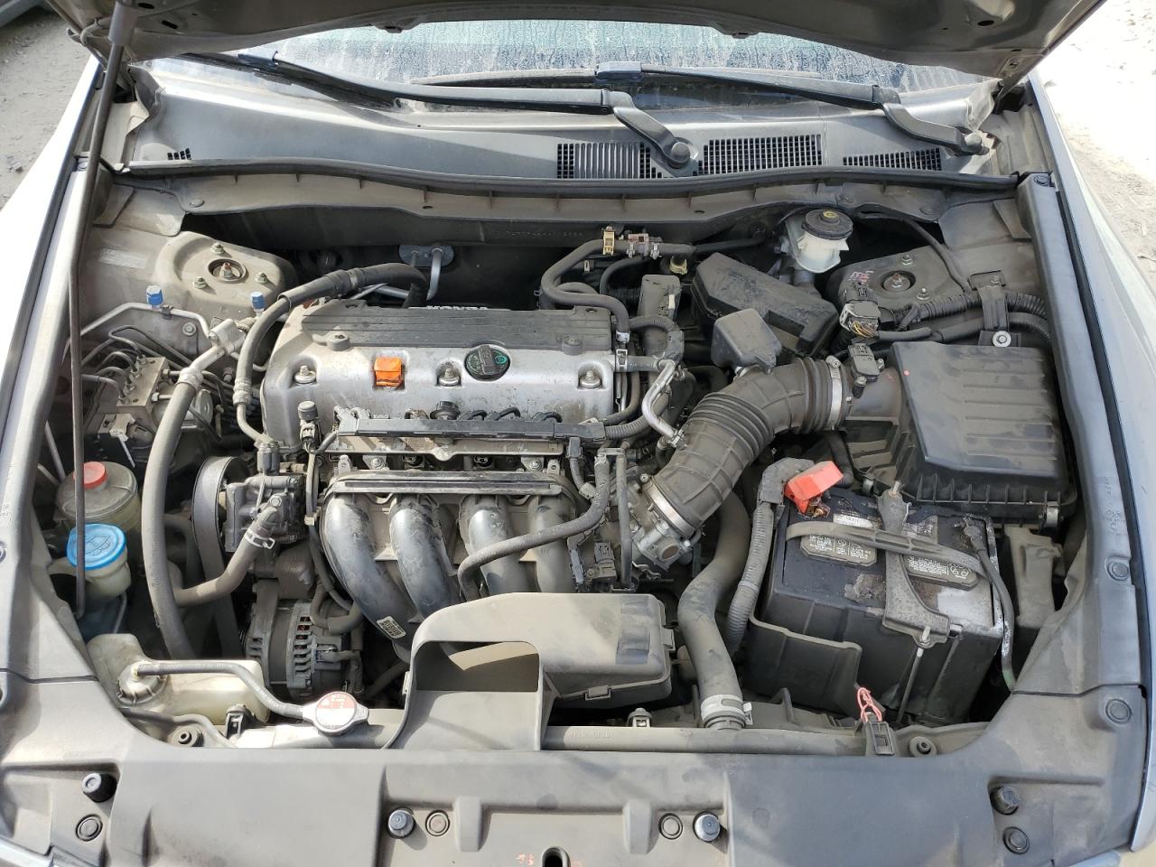 2010 Honda Accord Lxp VIN: 1HGCP2F44AA113963 Lot: 80120515