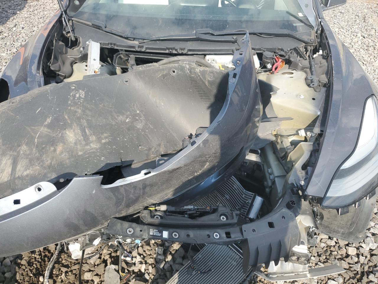 2020 Tesla Model 3 VIN: 5YJ3E1EC4LF669563 Lot: 71089185