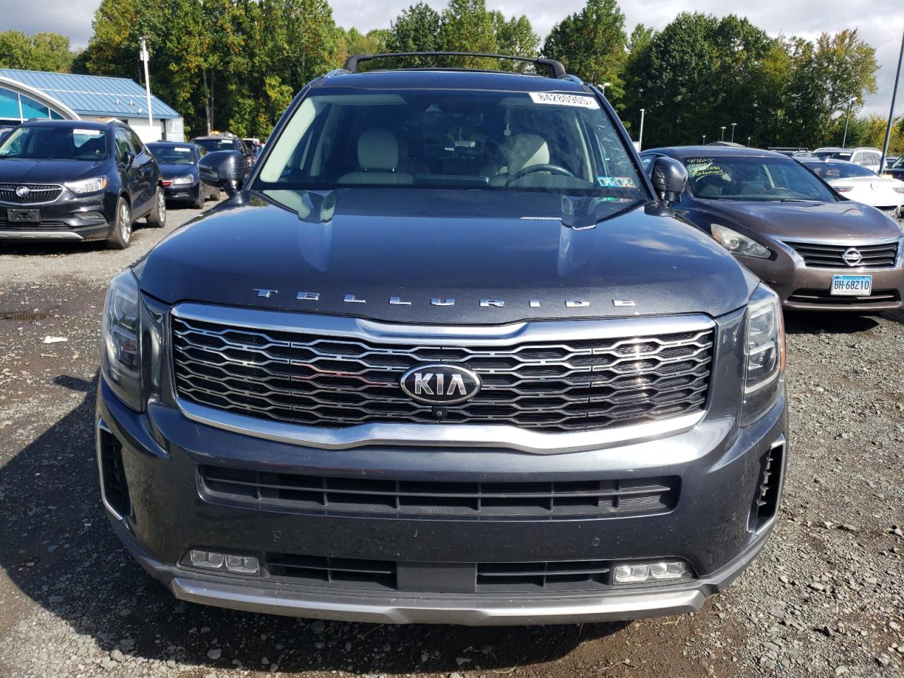 2020 Kia Telluride Sx VIN: 5XYP5DHCXLG038341 Lot: 84280905
