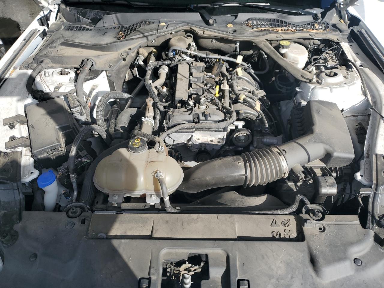 2023 Ford Mustang VIN: 1FATP8UH6P5105457 Lot: 84483175