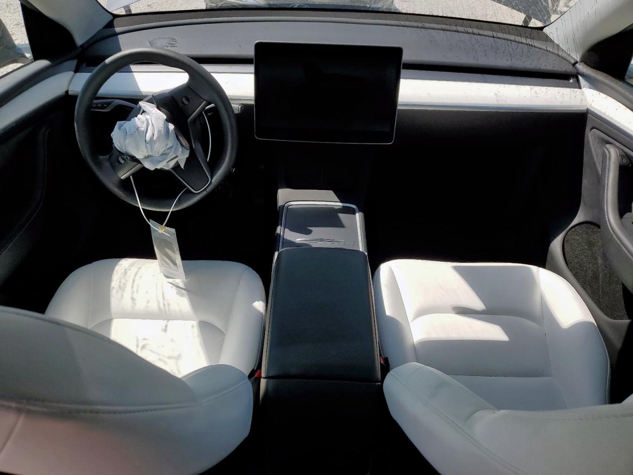 2024 Tesla Model Y VIN: 7SAYGDEE1RA231742 Lot: 81680985