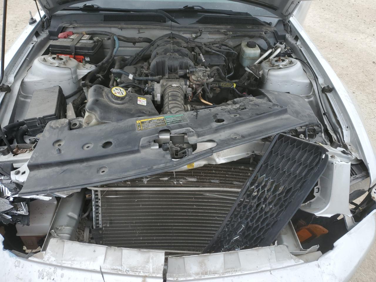 2006 Ford Mustang VIN: 1ZVFT80N565115861 Lot: 80006675