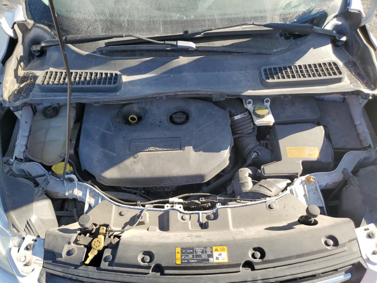 2014 Ford Escape Se VIN: 1FMCU0G95EUA30273 Lot: 81127105