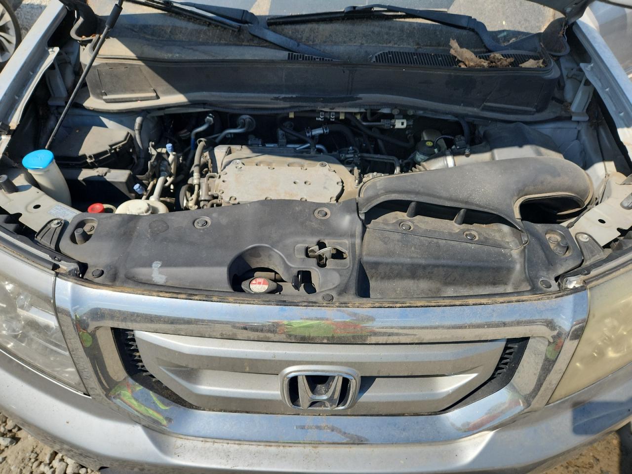 2011 Honda Pilot Exl VIN: 5FNYF3H55BB006948 Lot: 81676475