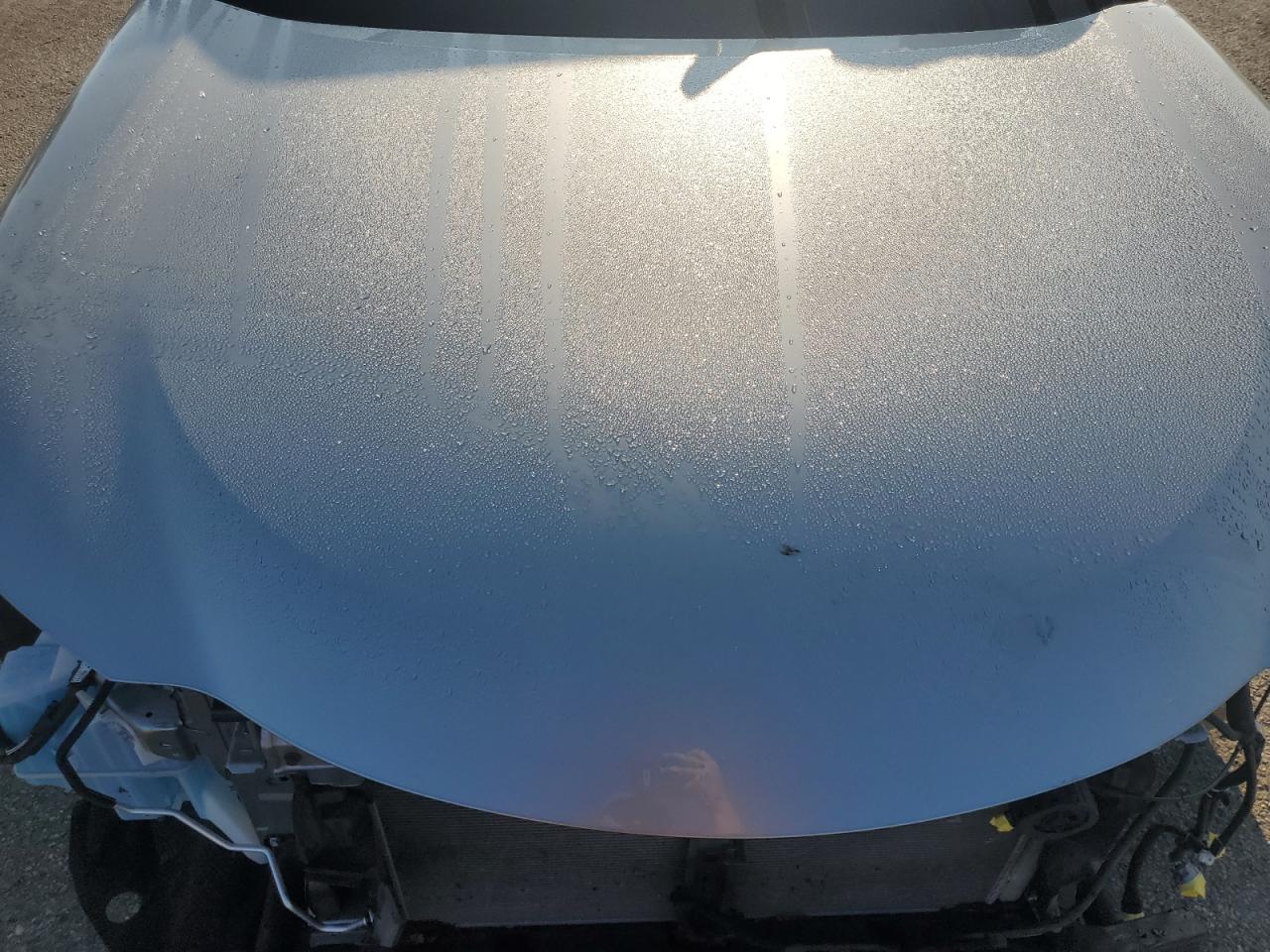 2020 Lexus Ux 250H VIN: JTHP9JBH0L2020043 Lot: 81809195