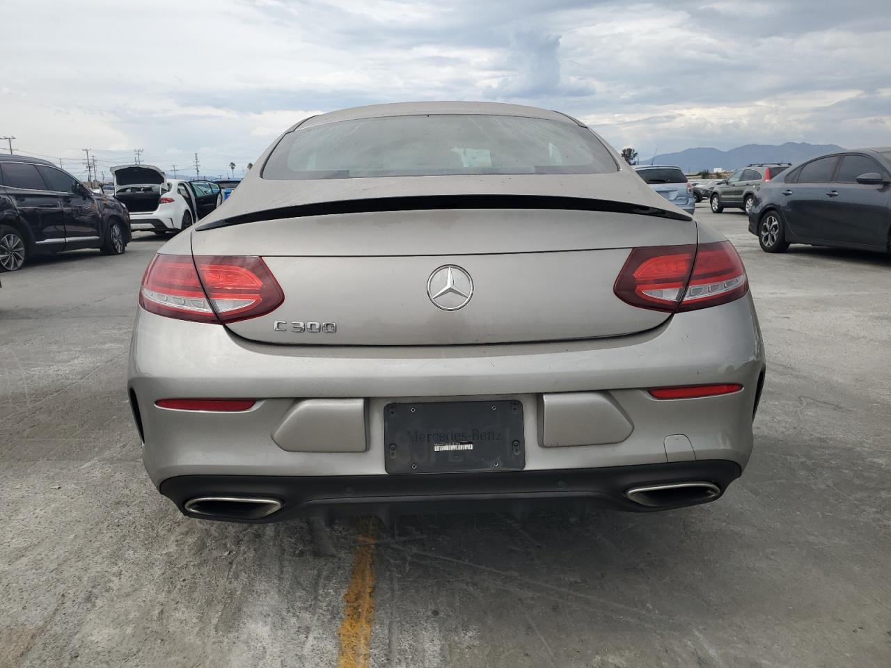 2019 Mercedes-Benz C 300 VIN: WDDWJ8DBXKF843906 Lot: 81321115