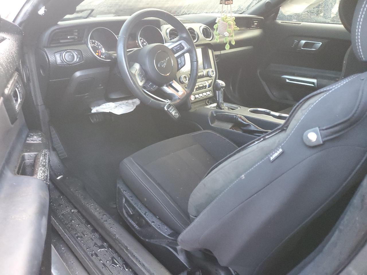 2021 Ford Mustang VIN: 1FA6P8TH9M5151181 Lot: 81040485