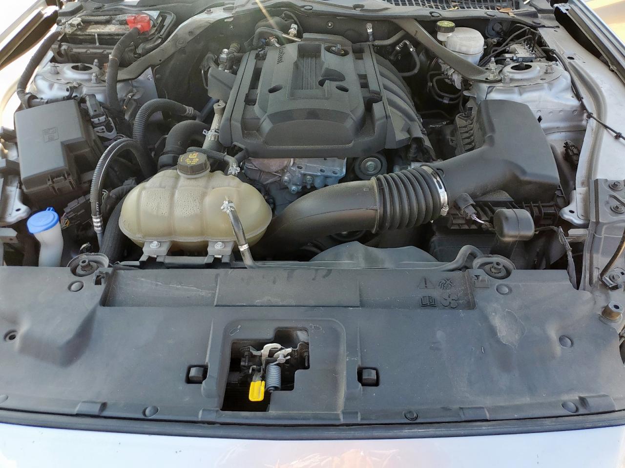 2020 Ford Mustang VIN: 1FATP8UH3L5179798 Lot: 69283855