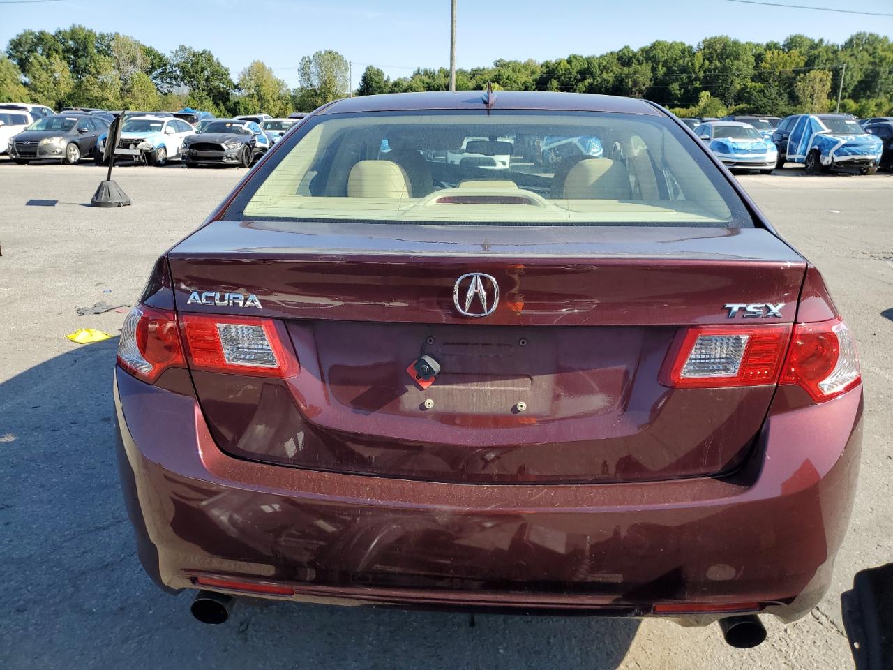 2010 Acura Tsx VIN: JH4CU2F6XAC039816 Lot: 80111995