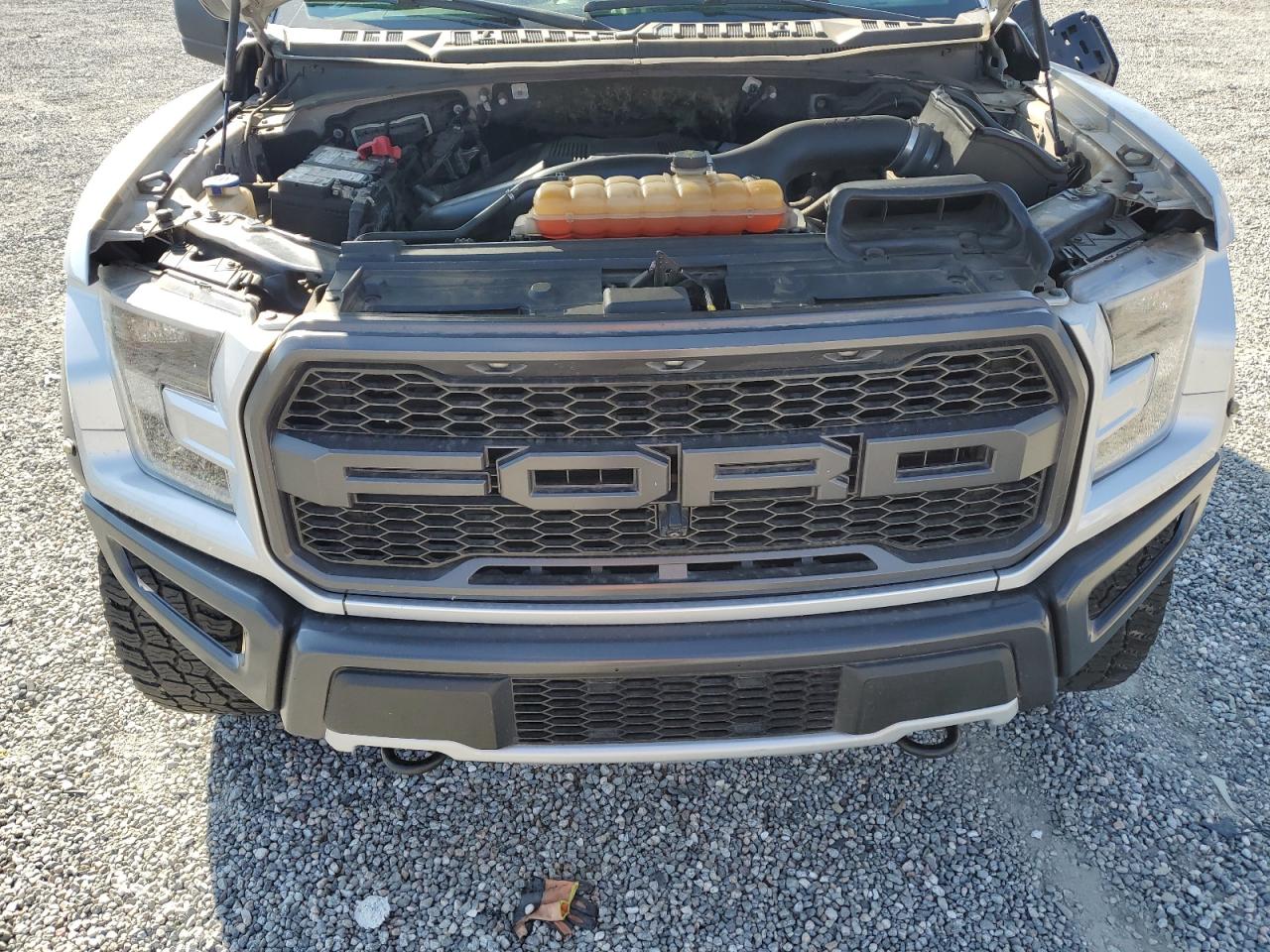 2018 Ford F150 Raptor VIN: 1FTFW1RG1JFB20192 Lot: 81720635