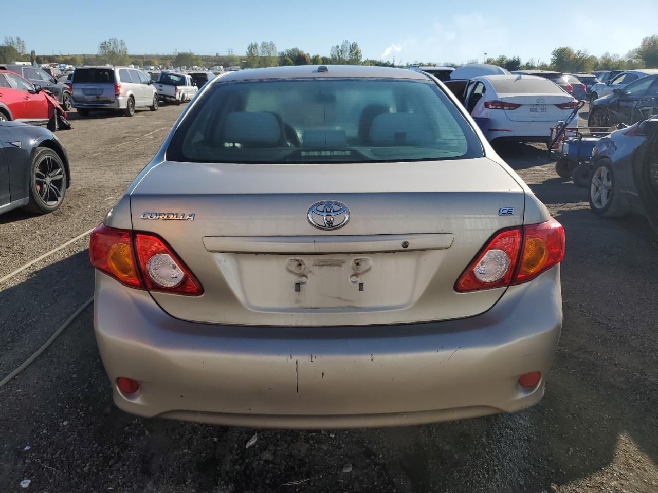 2010 Toyota Corolla Base VIN: 2T1BU4EEXAC194195 Lot: 66627535