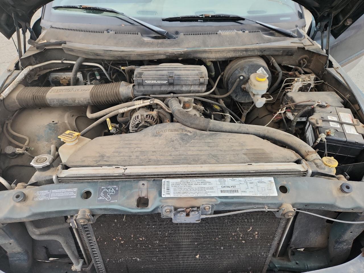 2000 Dodge Ram 1500 VIN: 3B7HC13Z0YM241138 Lot: 81446335