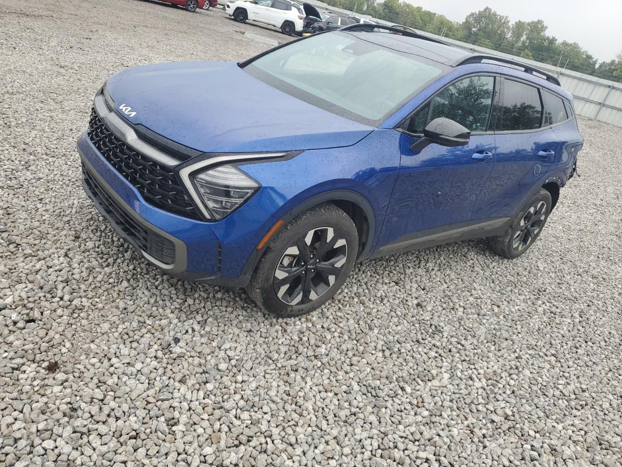 2024 Kia Sportage X Line blue null gas 5XYK6CDF7RG144451 photo #1