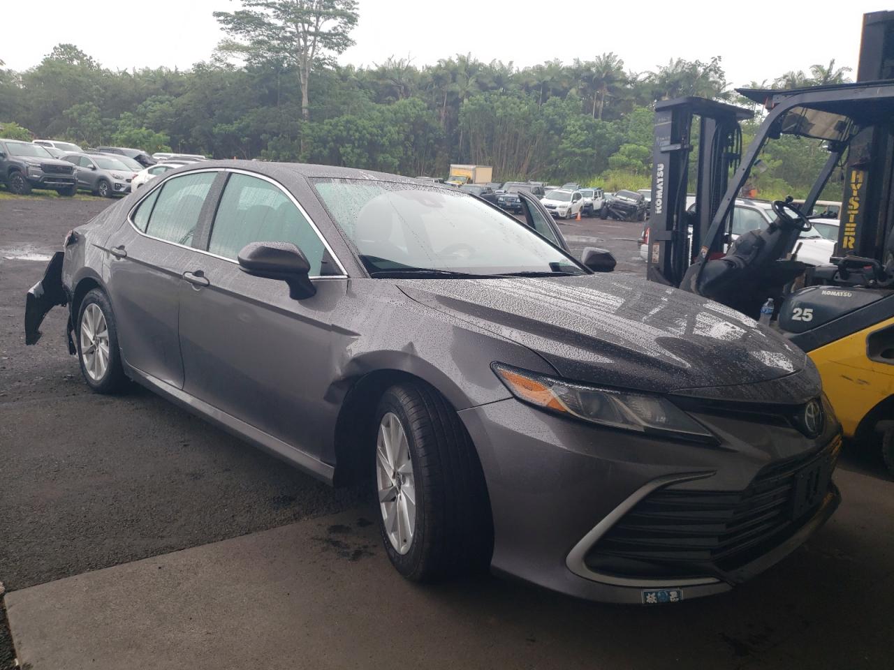 VIII (XV70) VIII (XV70)