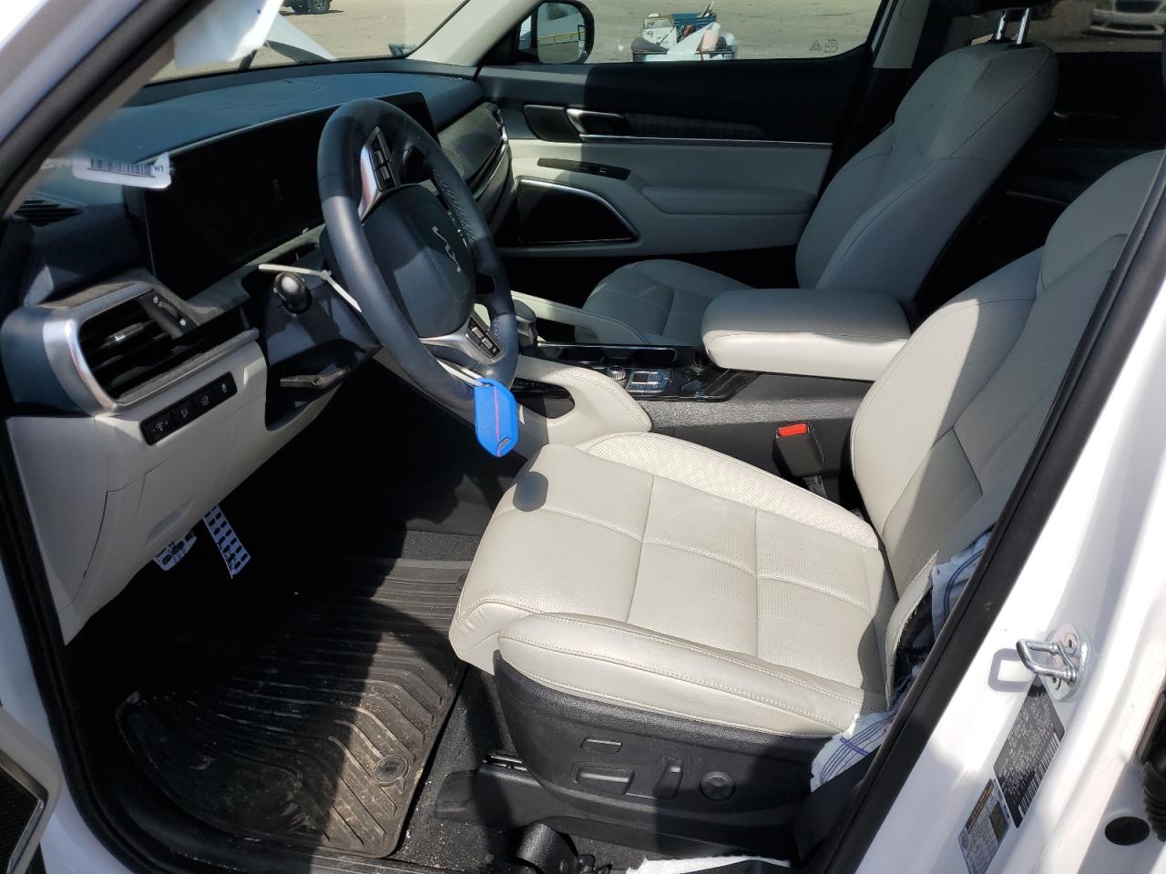 2024 Kia Telluride Sx VIN: 5XYP5DGC0RG524618 Lot: 81097905