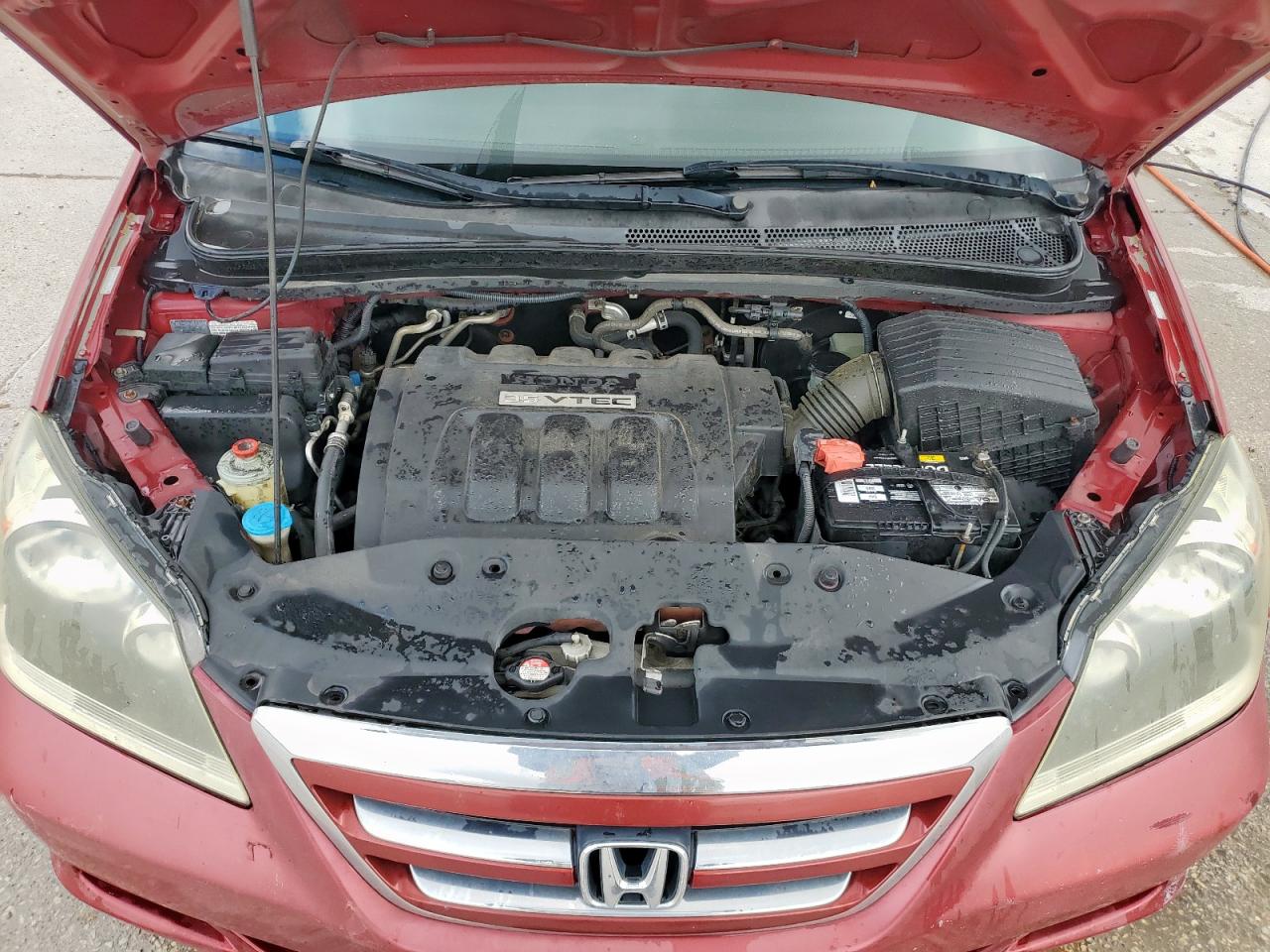 2006 Honda Odyssey Lx VIN: 5FNRL38296B114983 Lot: 83996935