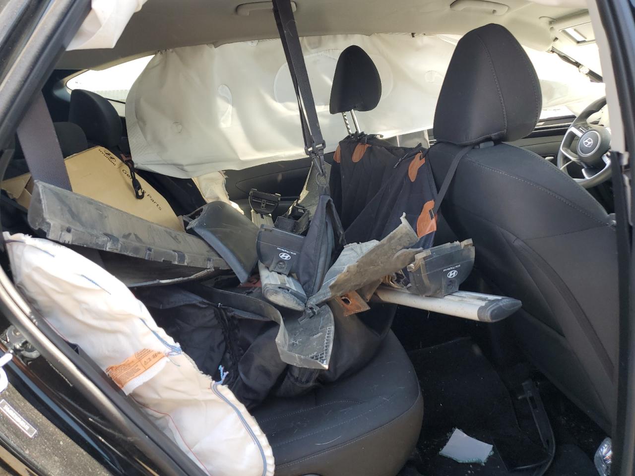 2024 Hyundai Tucson Sel VIN: 5NMJB3DE0RH325413 Lot: 71314365