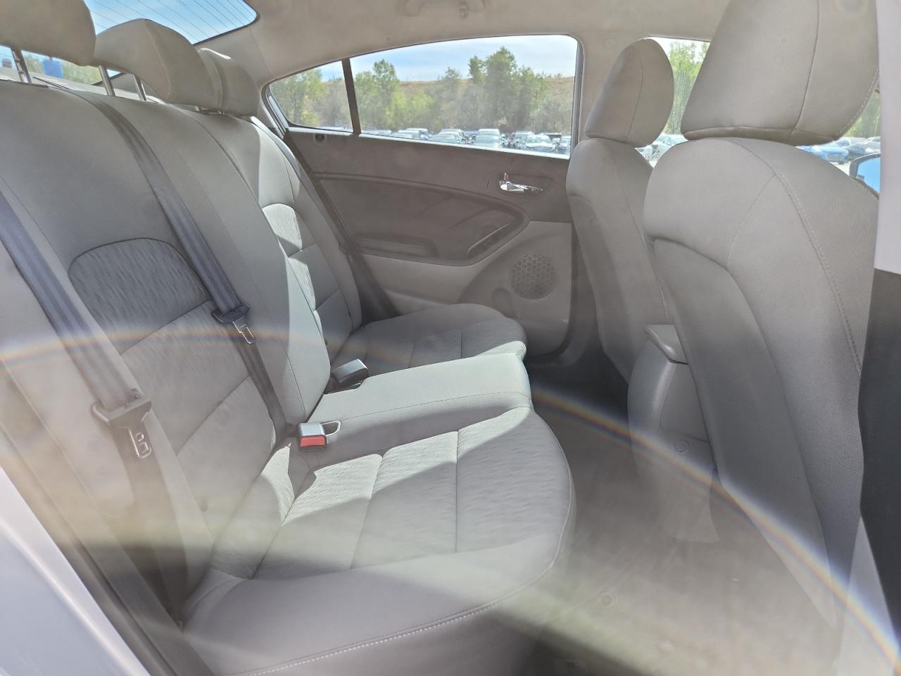 2016 Kia Forte Lx VIN: KNAFK4A66G5487066 Lot: 81305695