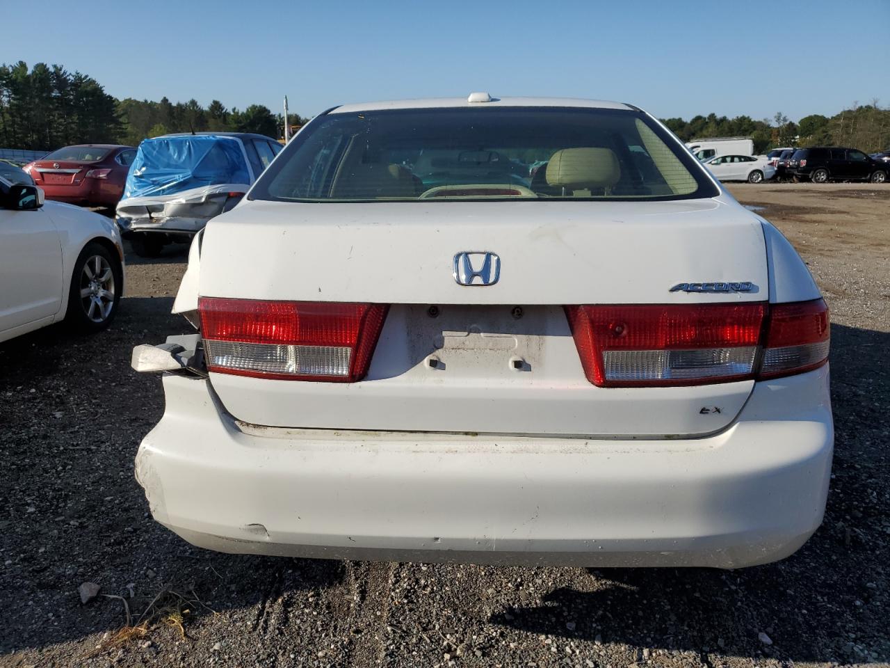 2004 Honda Accord 2.4 Ex VIN: 1HGCM56844A027747 Lot: 43441038