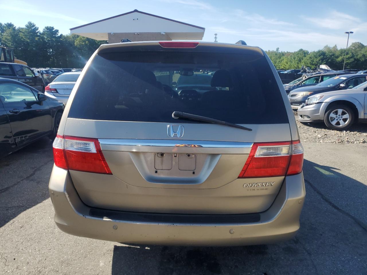2005 Honda Odyssey Touring VIN: 5FNRL38865B019820 Lot: 63062145