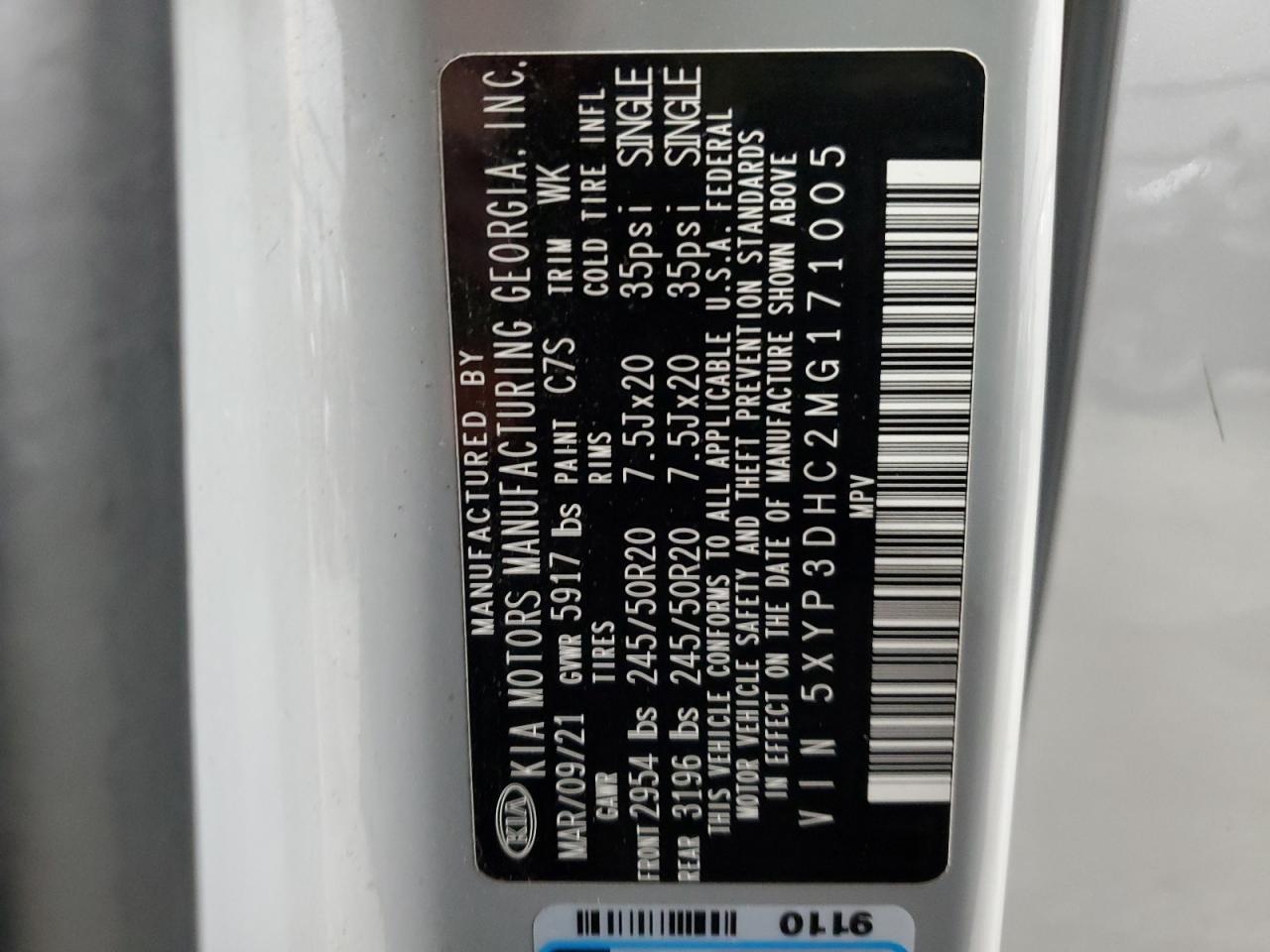 2021 Kia Telluride Ex VIN: 5XYP3DHC2MG171005 Lot: 80552485