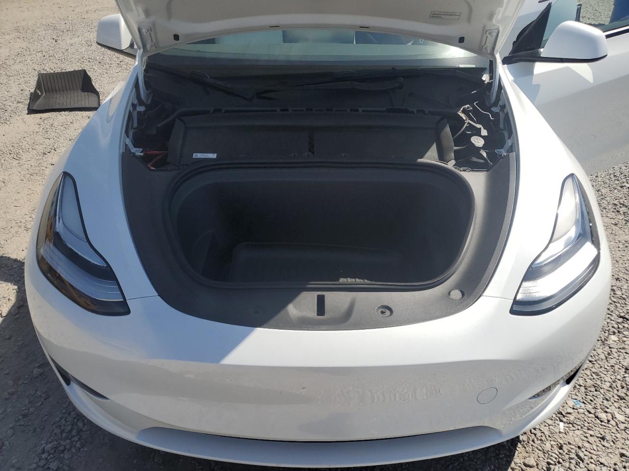 2023 Tesla Model Y VIN: 7SAYGDEE9PA146807 Lot: 81360035