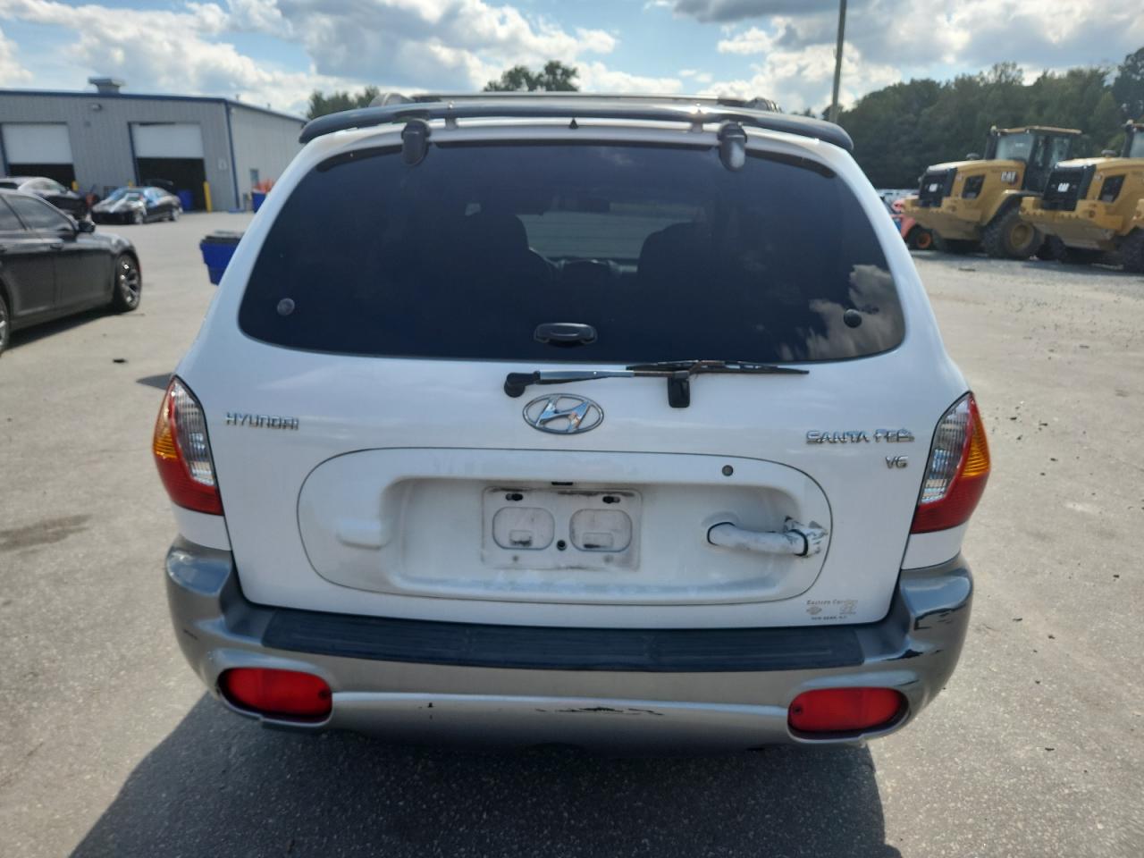 2003 Hyundai Santa Fe Gls VIN: KM8SC13D43U439148 Lot: 80037045