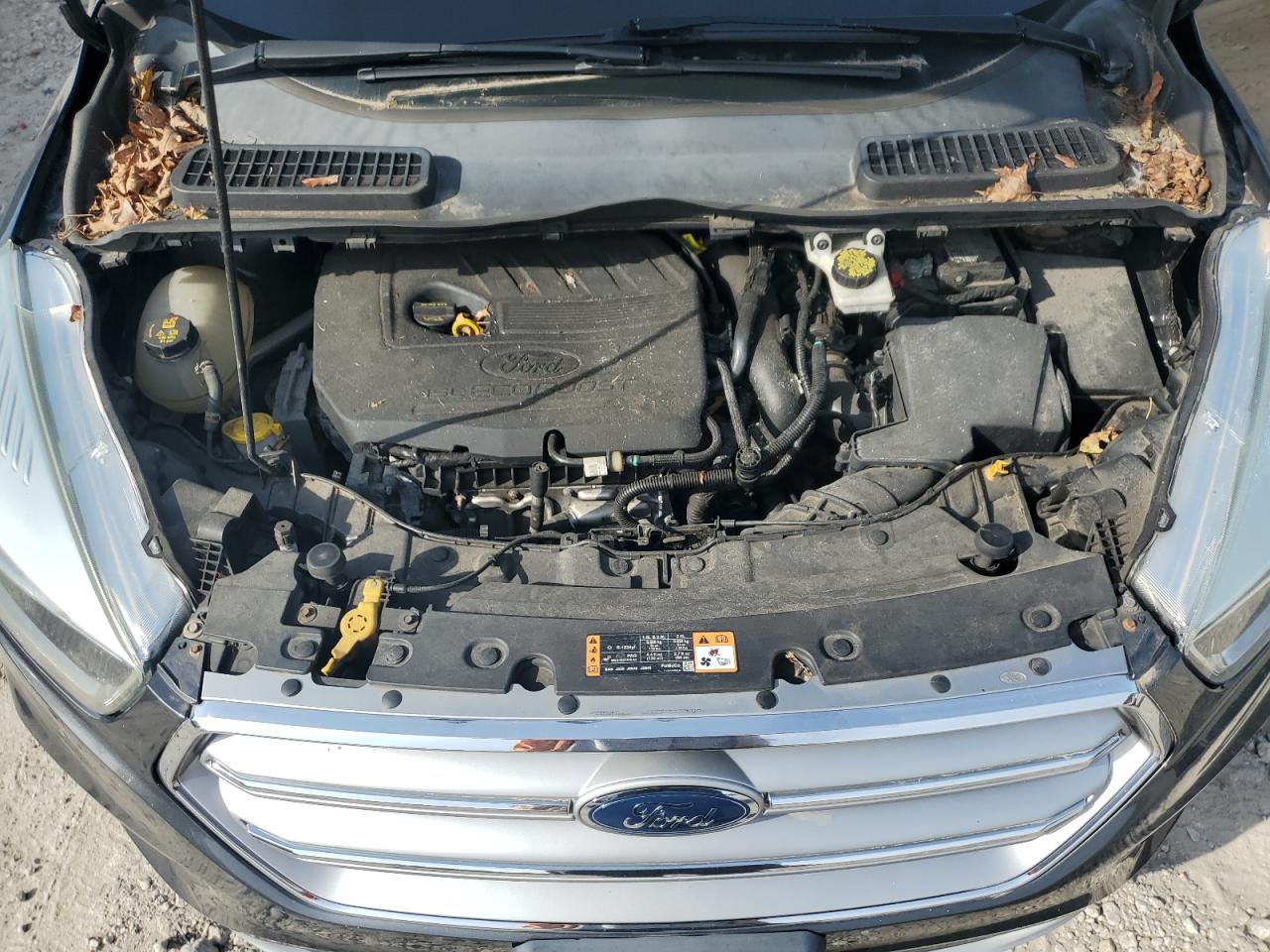 2017 Ford Escape Se VIN: 1FMCU9GD6HUB46062 Lot: 84384065