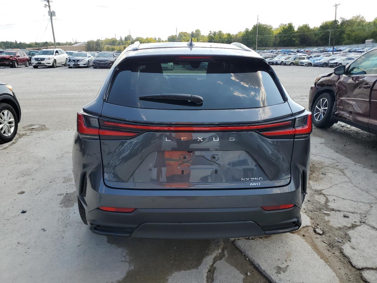 2024 Lexus Nx 350 Premium VIN: 2T2GGCEZXRC051104 Lot: 43424705