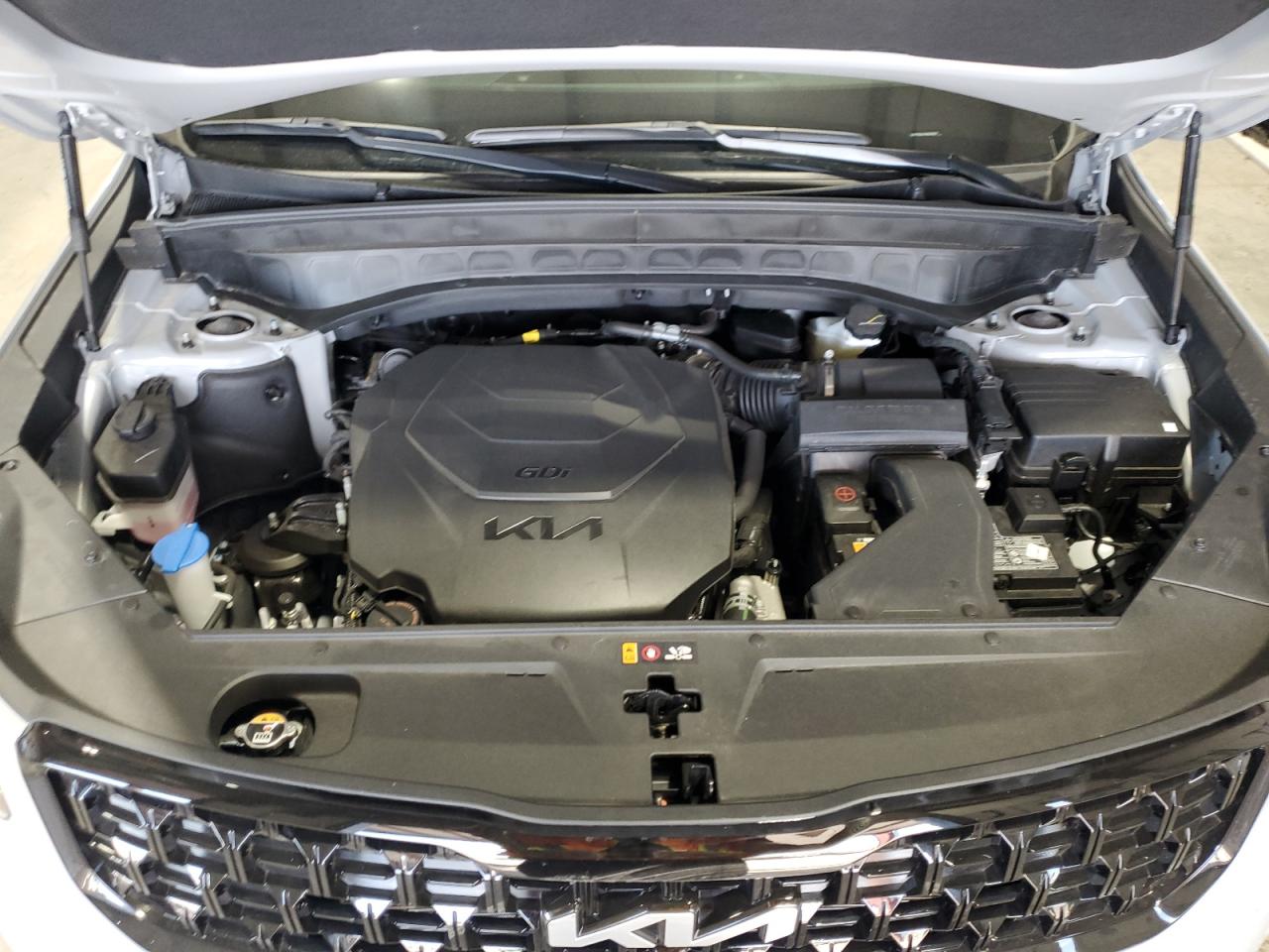 2024 Kia Telluride Sx VIN: 5XYP5DGC1RG530007 Lot: 81873565