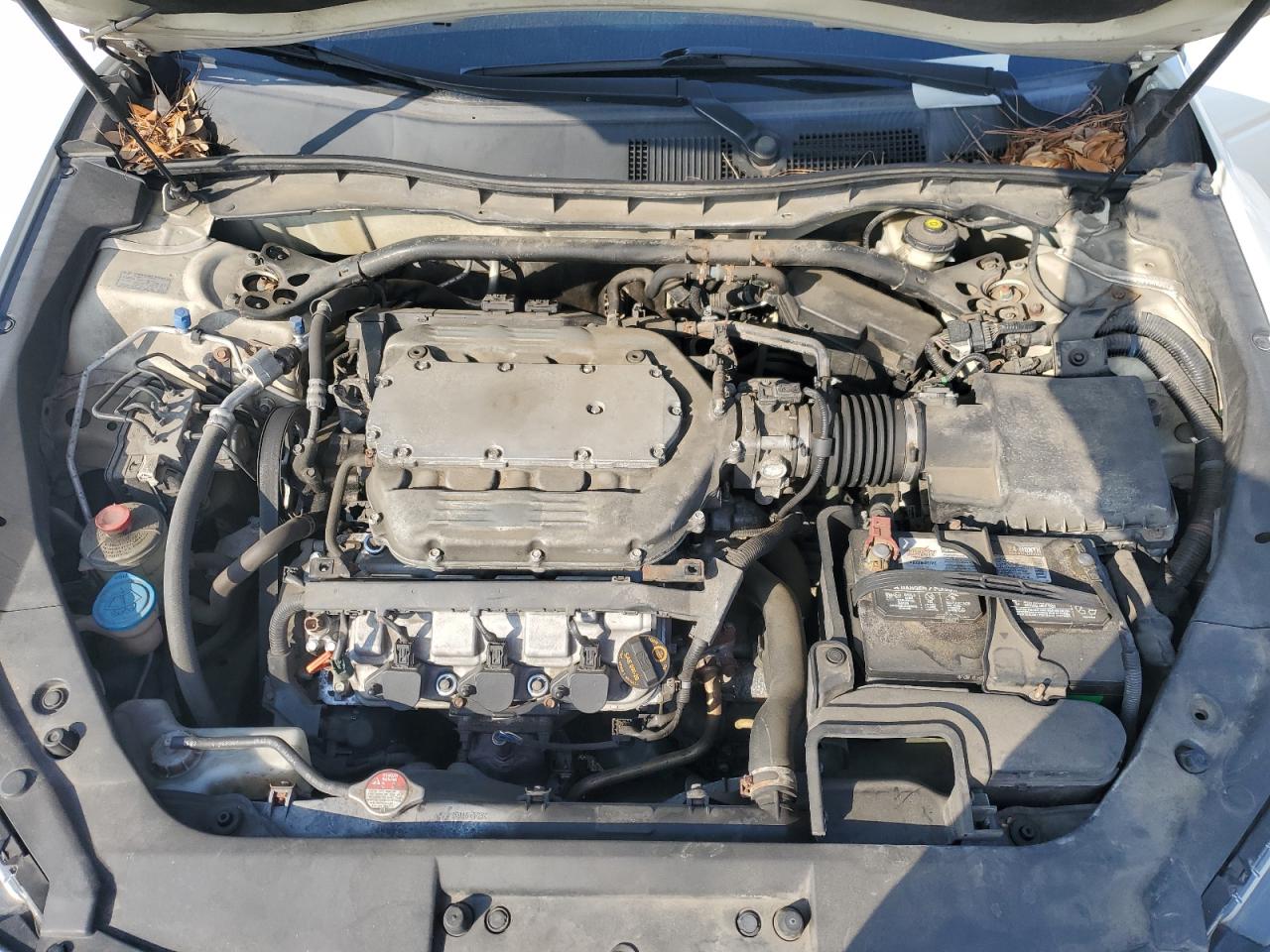 2010 Honda Accord Crosstour Exl VIN: 5J6TF2H54AL013612 Lot: 81572735