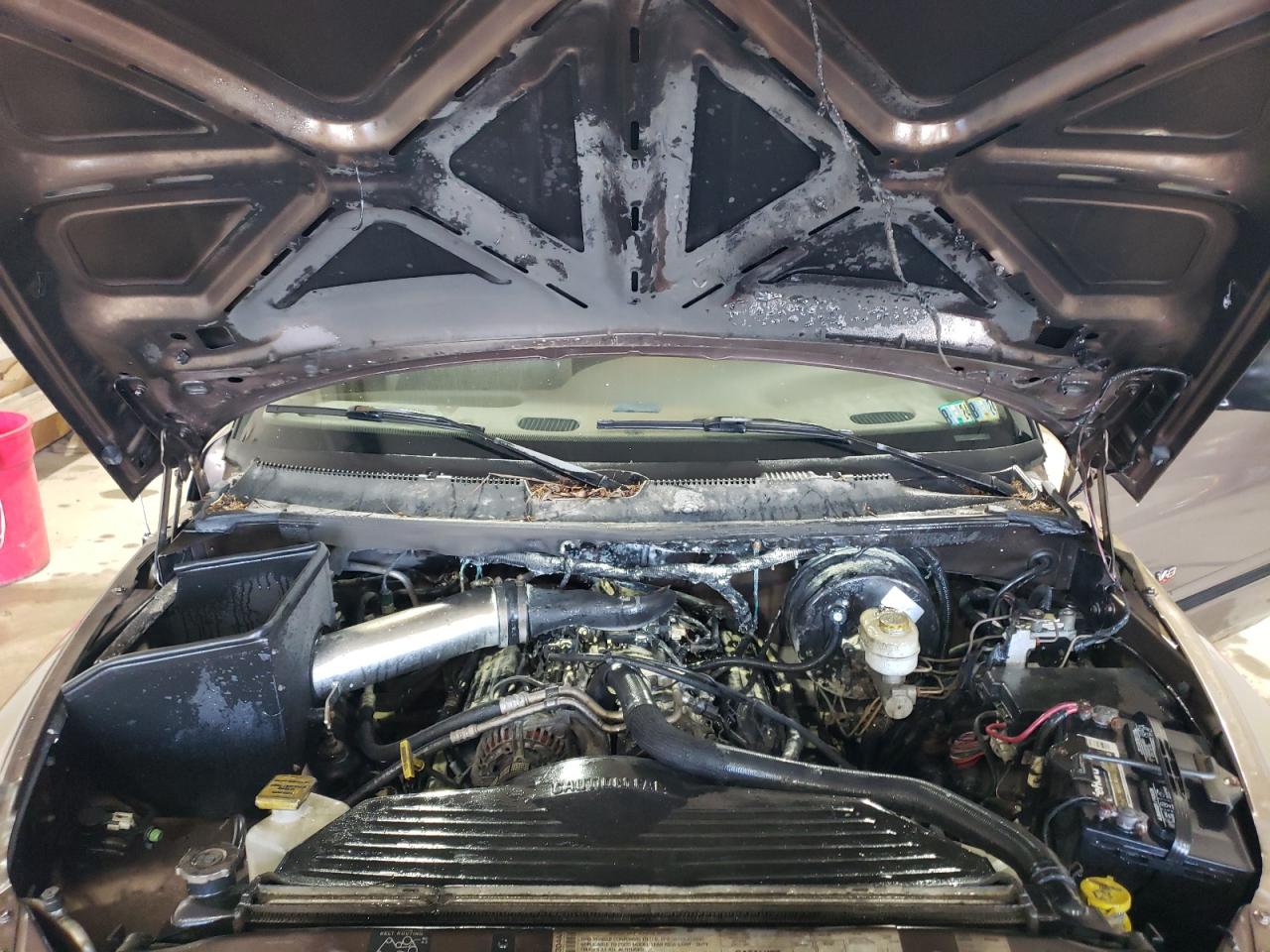 2000 Dodge Ram 1500 VIN: 3B7HF13Z4YG151769 Lot: 84264055