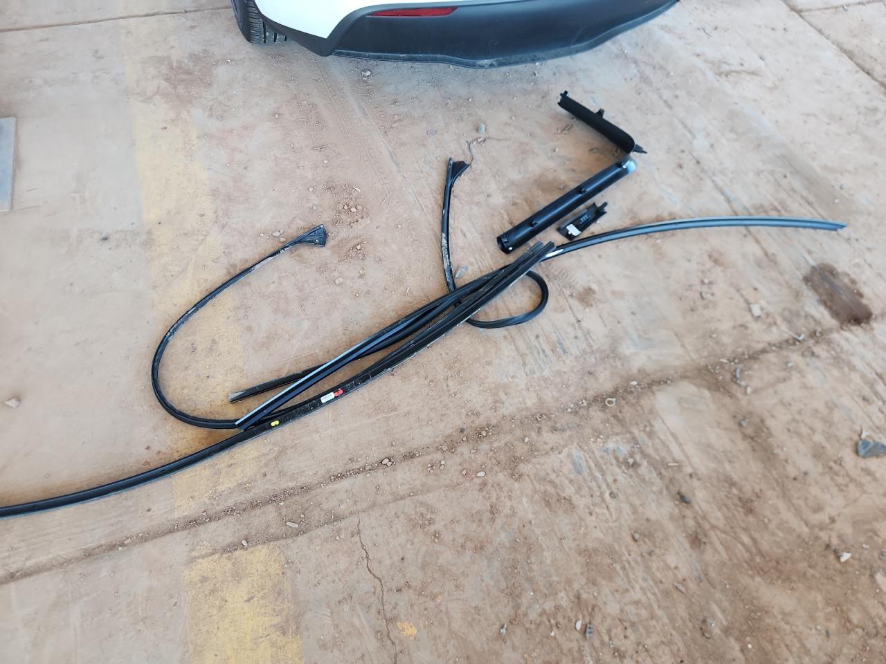 2024 Tesla Model Y VIN: 7SAYGDED6RF151122 Lot: 81297445