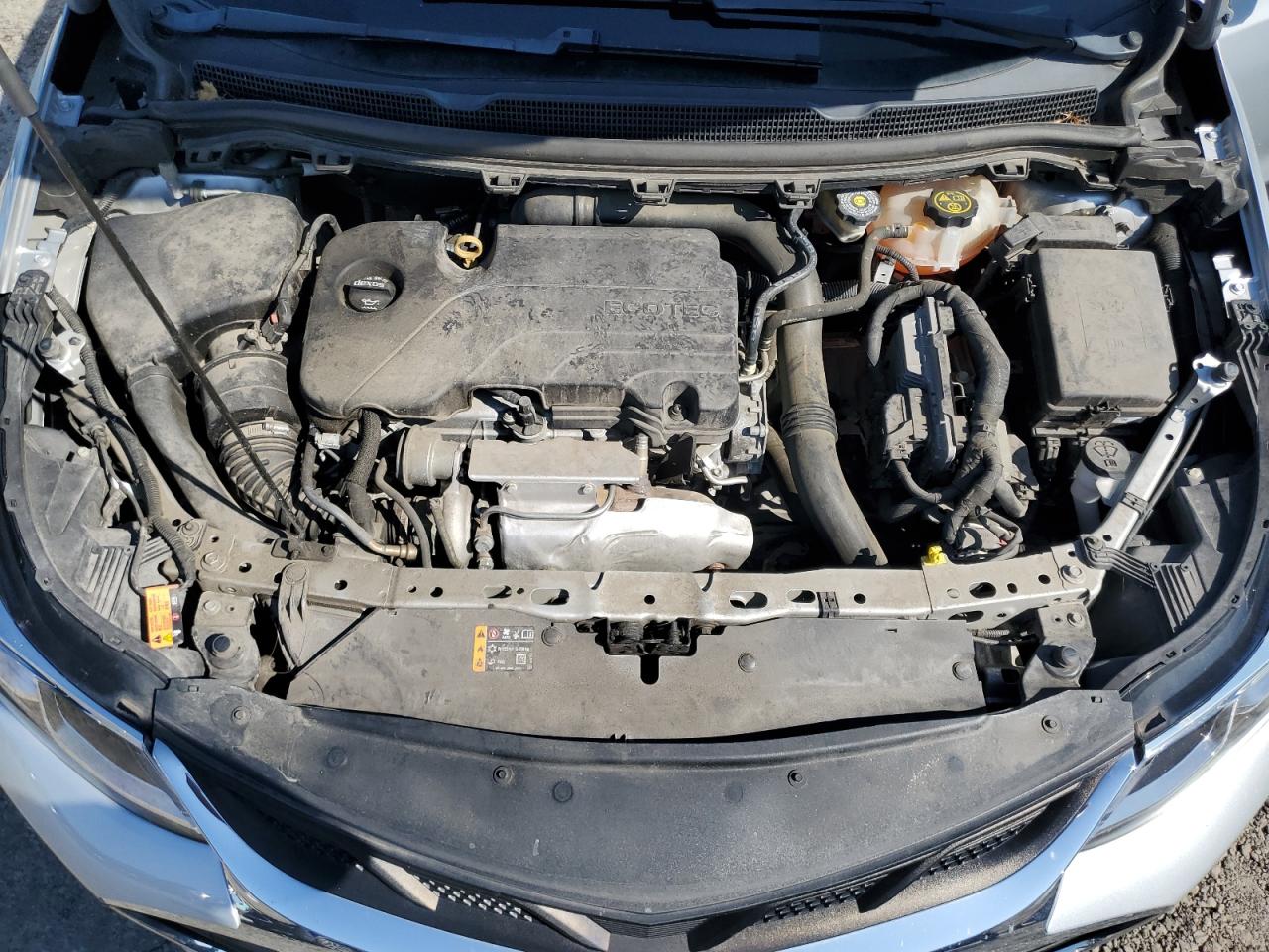 2019 Chevrolet Cruze VIN: 1G1BJ5SM7K7100067 Lot: 83968835