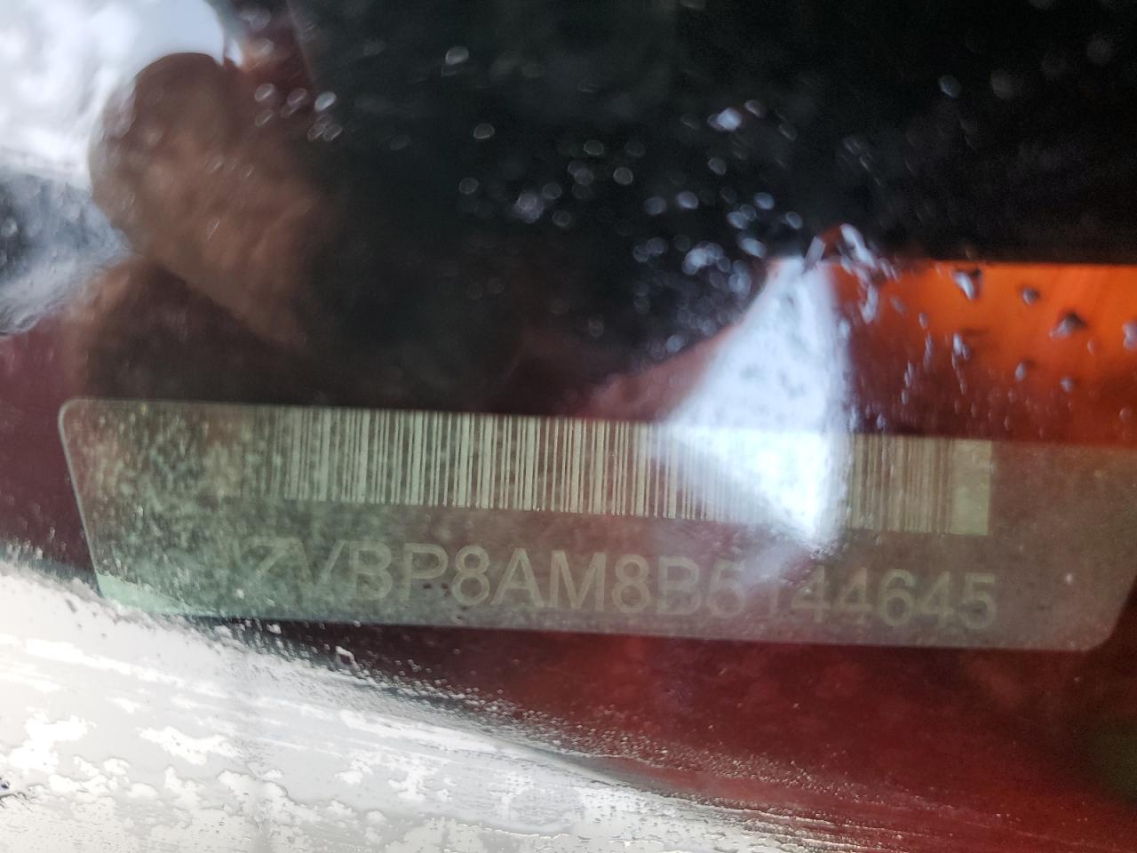 2011 Ford Mustang VIN: 1ZVBP8AM8B5144645 Lot: 81074955