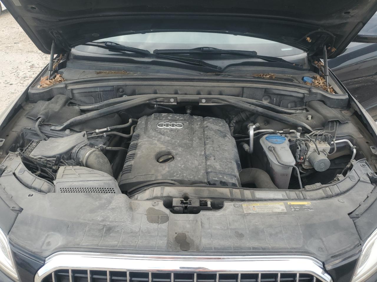 2017 Audi Q5 Premium Plus VIN: WA1M2AFP1HA095352 Lot: 80125405