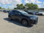 2025 LEXUS NX 350 PREMIUM   à vendre chez Copart NJ - SOMERVILLE