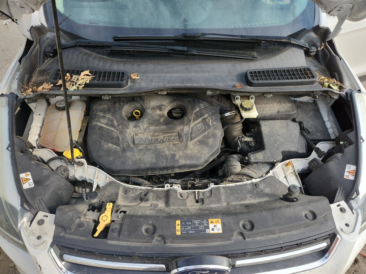 2013 Ford Escape Titanium VIN: 1FMCU9J91DUB06700 Lot: 71674115