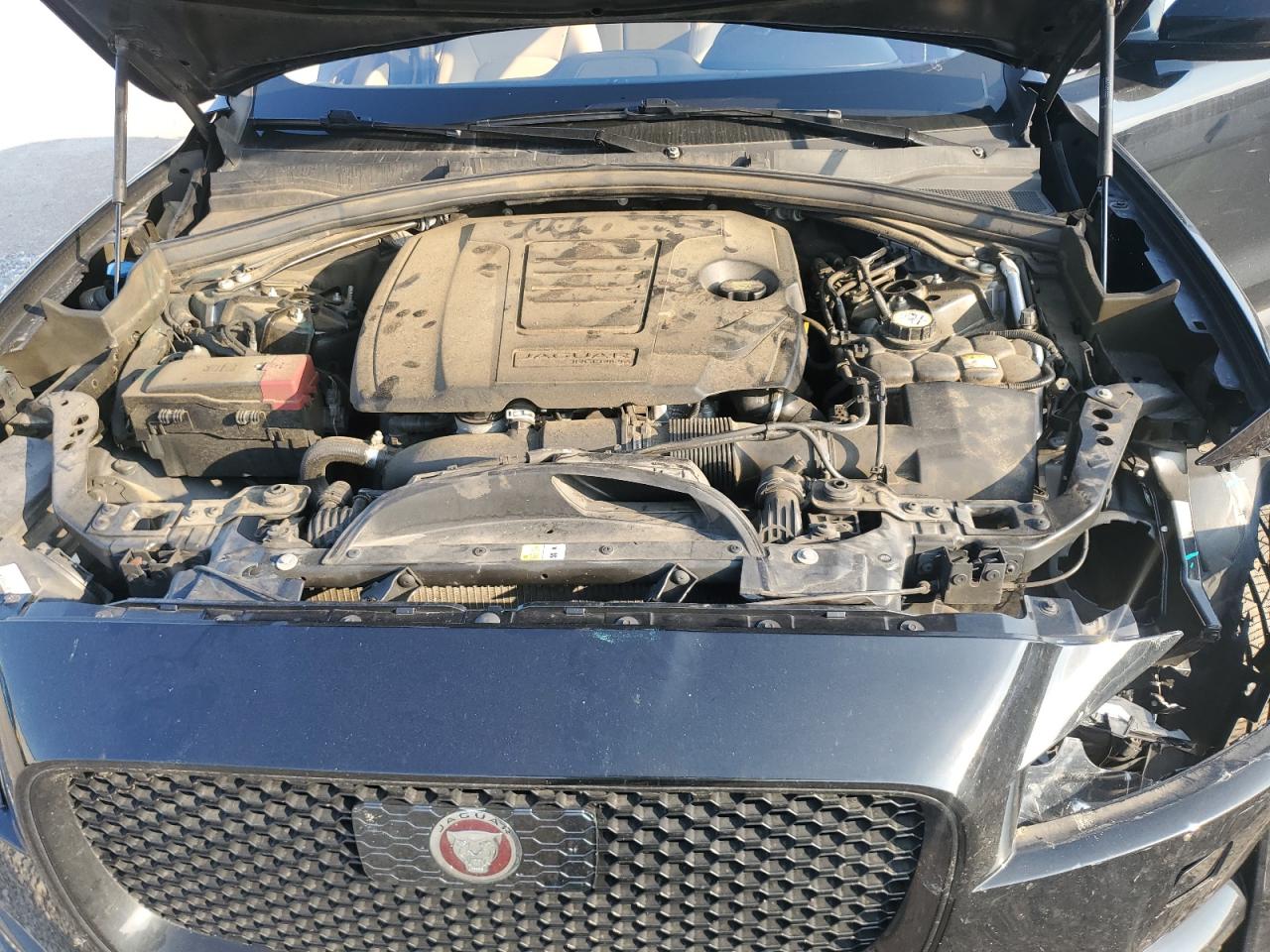 2019 Jaguar F-Pace Premium VIN: SADCJ2FX9KA616629 Lot: 70823655