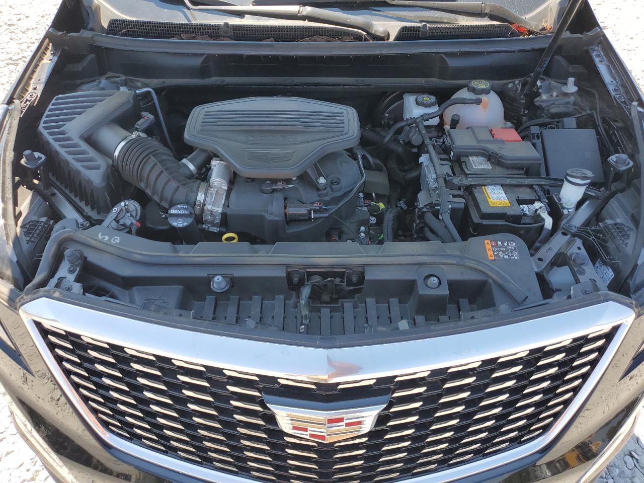 2024 Cadillac Xt5 Premium Luxury VIN: 1GYKNDRS0RZ702795 Lot: 80993105