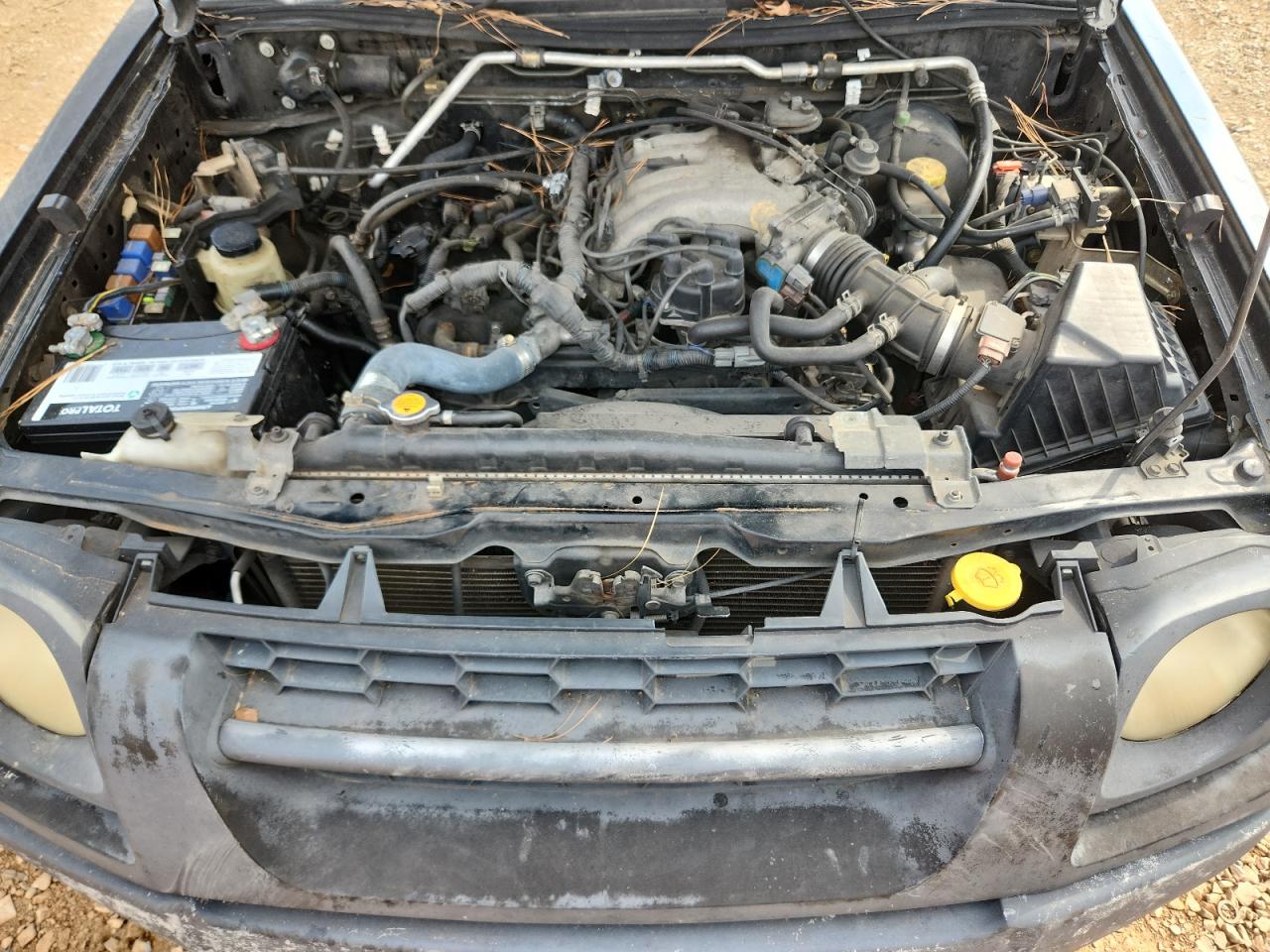 2003 Nissan Xterra Xe VIN: 5N1ED28T73C676836 Lot: 81315975