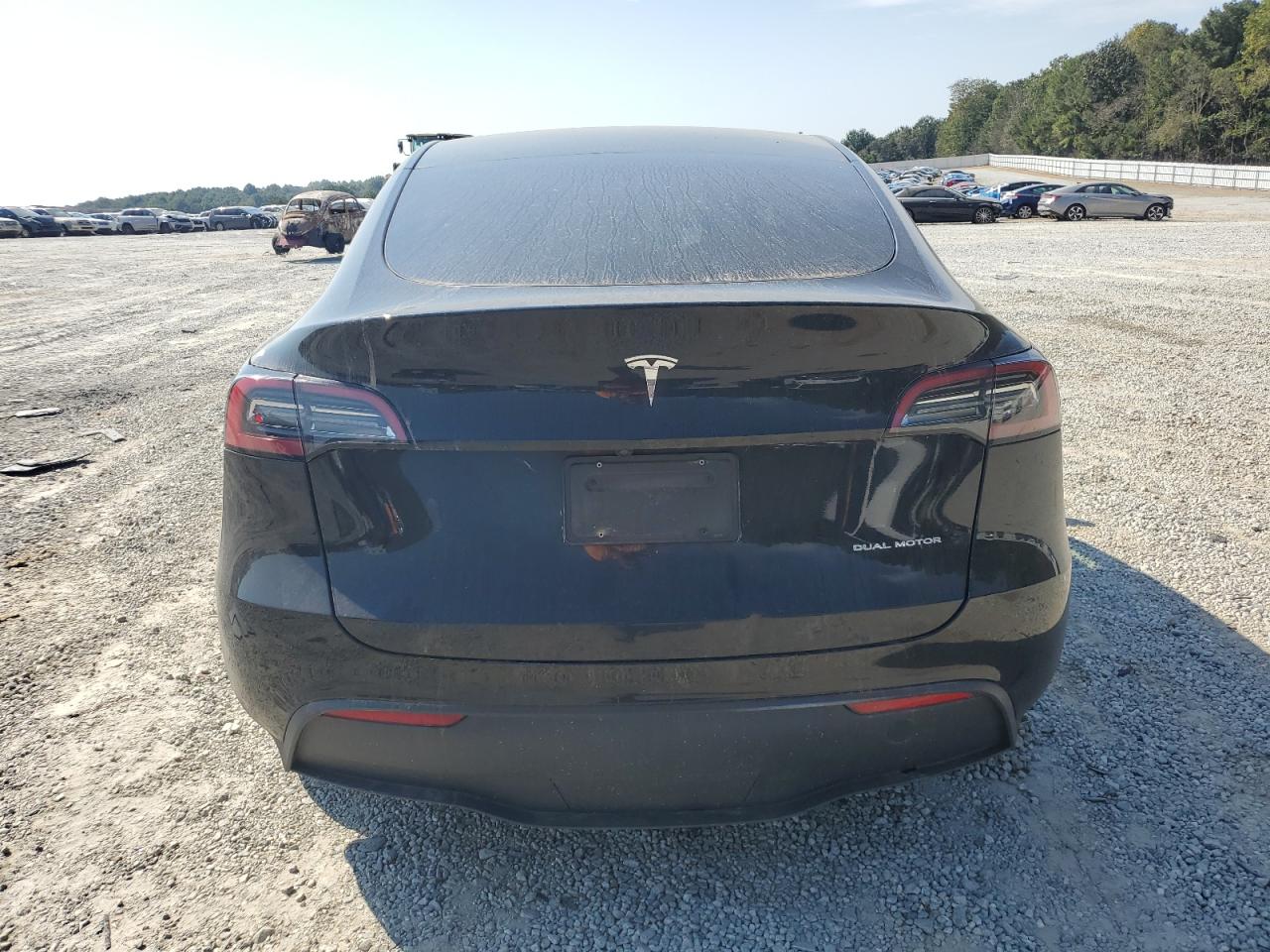 2023 Tesla Model Y VIN: 7SAYGDEE4PA143135 Lot: 81751105