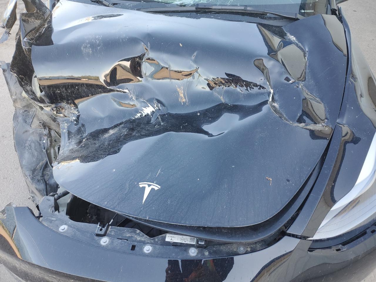 2024 Tesla Model Y VIN: LRWYGDEE8RC670723 Lot: 81564565