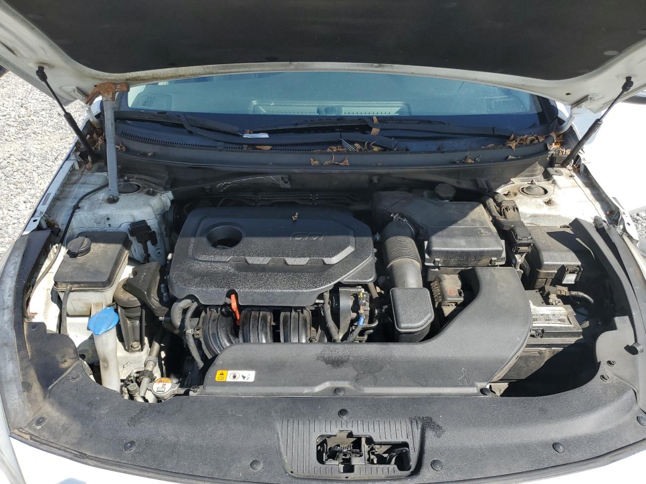 2017 Hyundai Sonata Sport VIN: 5NPE34AF1HH567209 Lot: 81942215